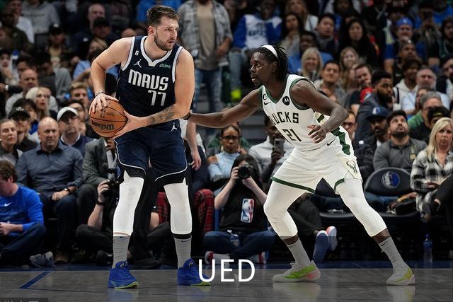 UED公司简介图片